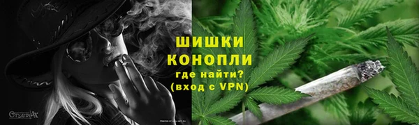 ешки Богданович